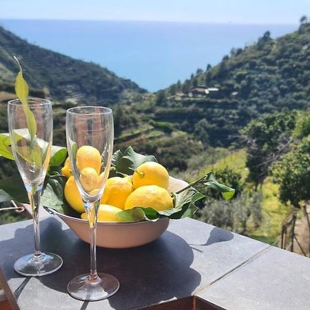 Вилла ☆ Terrace & Relax ☆ Casa Franceschin_ Homy 5 Terre Риомаджиоре Экстерьер фото