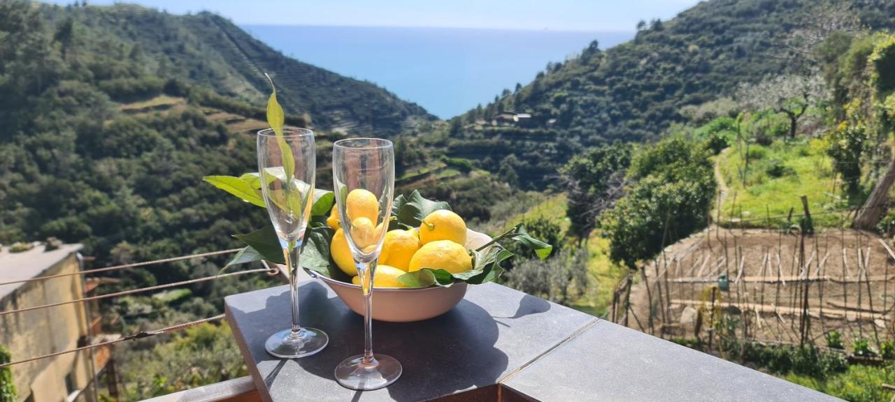 Вилла ☆ Terrace & Relax ☆ Casa Franceschin_ Homy 5 Terre Риомаджиоре Экстерьер фото